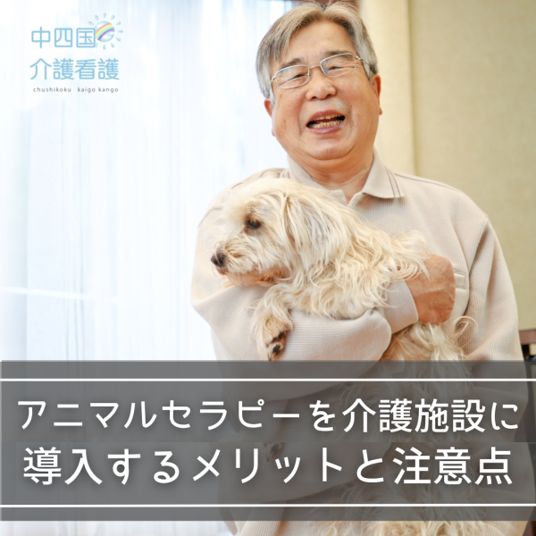 アニマルセラピーを介護施設に導入するメリットと注意点